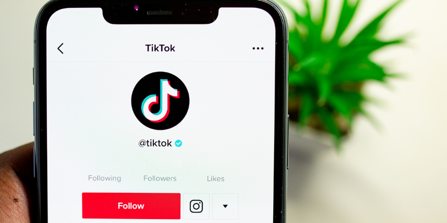 Tiktok reklam verme